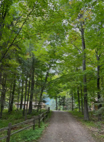 Screen Shot 2024-05-03 at 2.35.05 PM